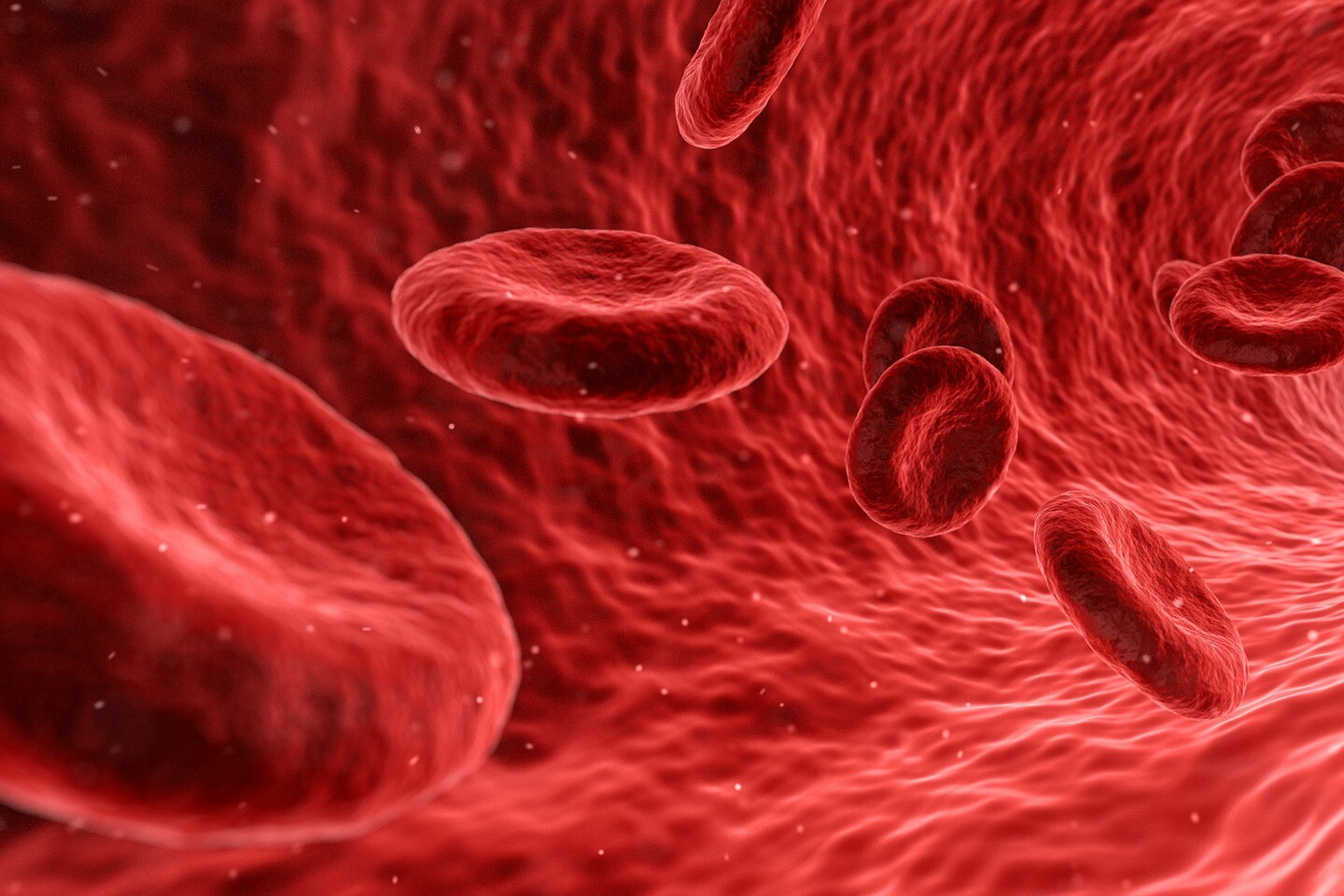 Ultraschallscreening zur Früherkennung von Bauchaorten­a­neu­rysmen